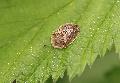 [ pilt: 1707   IMG_3845       .JPG ]